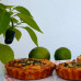 Mini Tartes de Frango e Jalapeño (6 unidades)